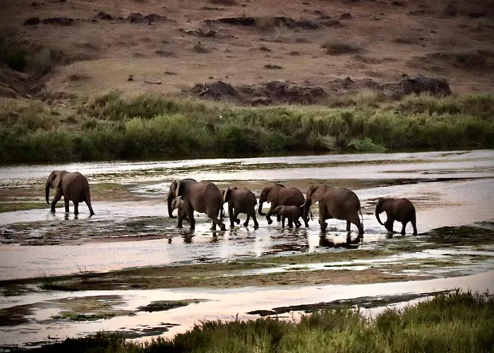 Elephant Walk Retreat