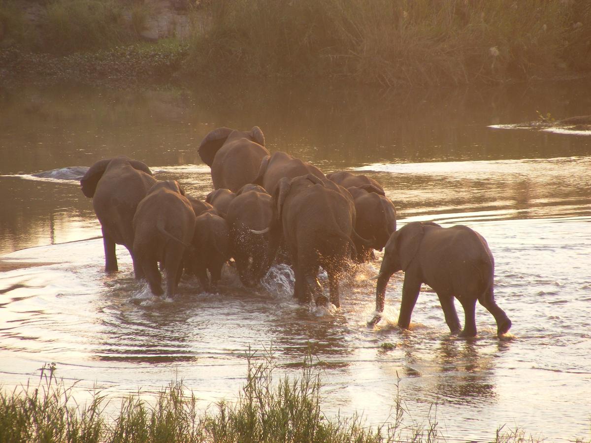 Elephant Walk Retreat Lodge *