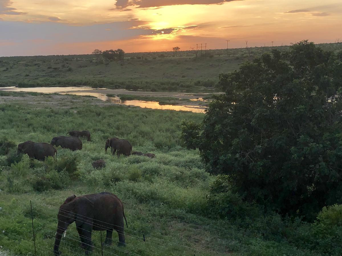 Elephant Walk Retreat * Komatipoort