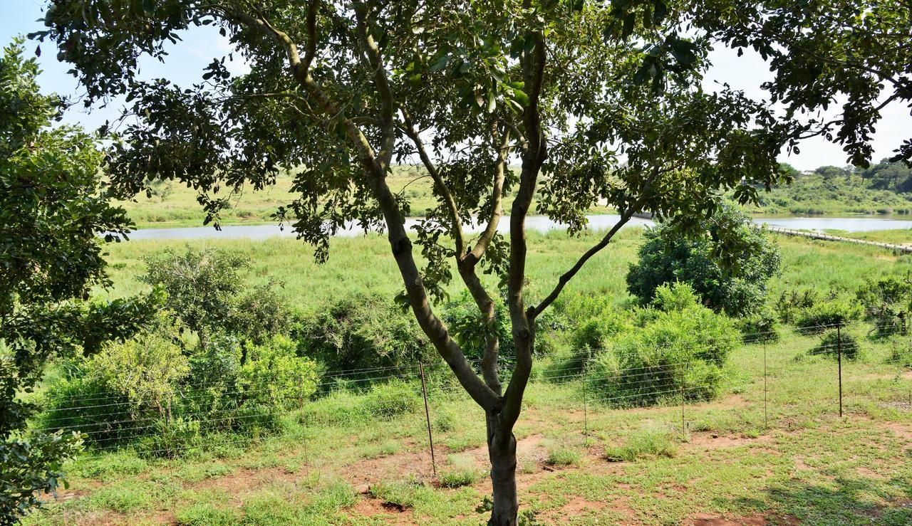 Lodge Elephant Walk Retreat Komatipoort
